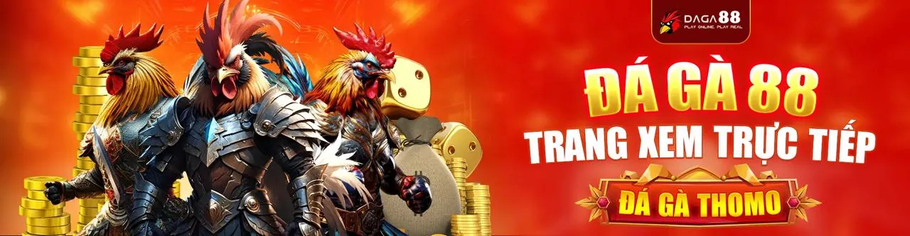 Đá gà trực tuyến HL8 chính thức